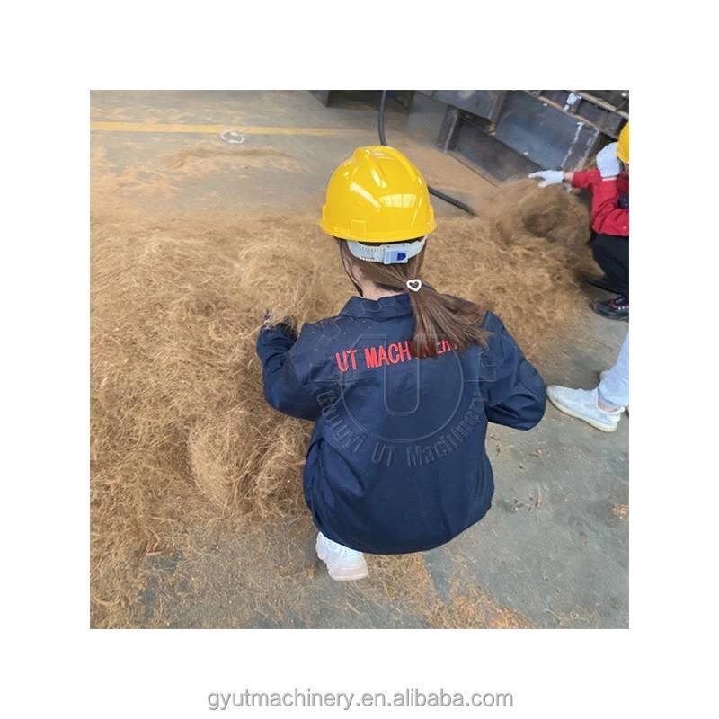 Высокая производительность 3-4 т Автоматическая машина для дефибрирования кокосовых орехов