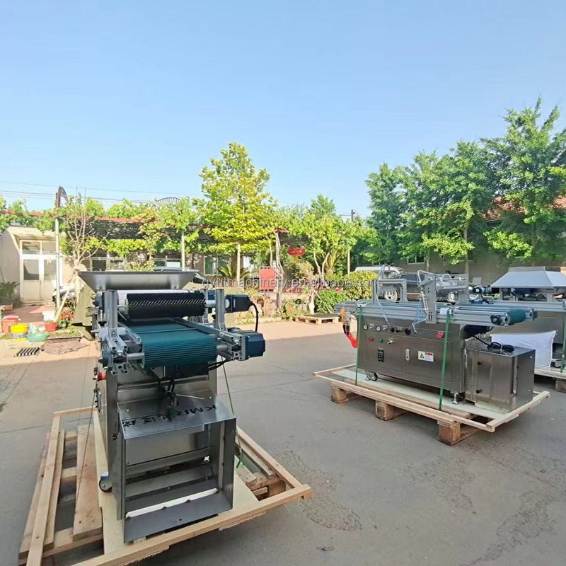 Машина для сева помидоров 120 поднос Семена салата Овощные семена Плантер для пластиковых подносов