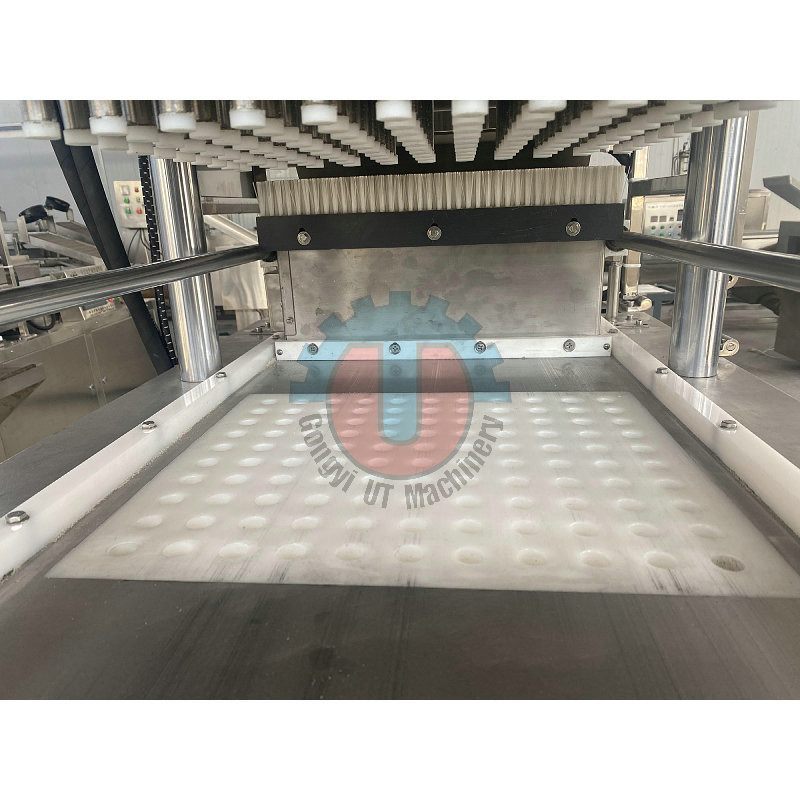 Производственная линия для упаковки кубиков сахарной прессы