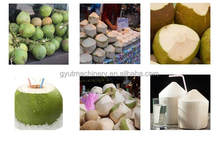 Улучшите свою игру с 0,8 кВт зеленой кокосовой коконовой очисткой