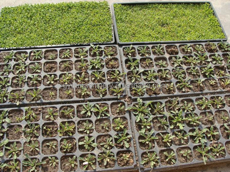 95%-98% точность сева Ферма питомник Сеяльная машина для сева семян лука салата