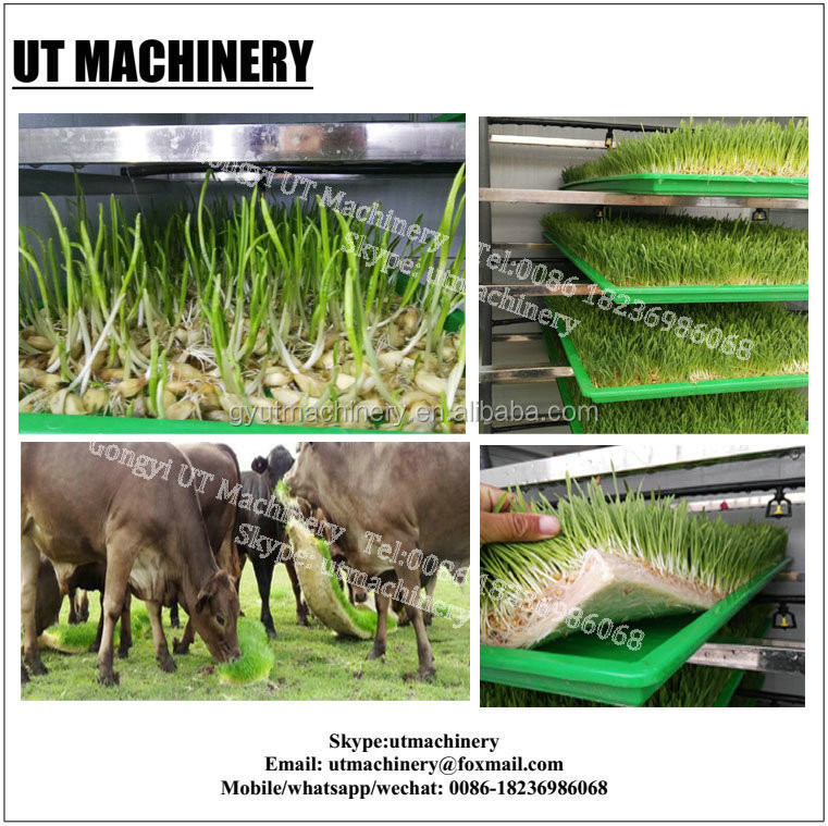 Оборудование для обработки корней бобов для ежедневного потребления воды в объеме 3 м3 Производство побегов