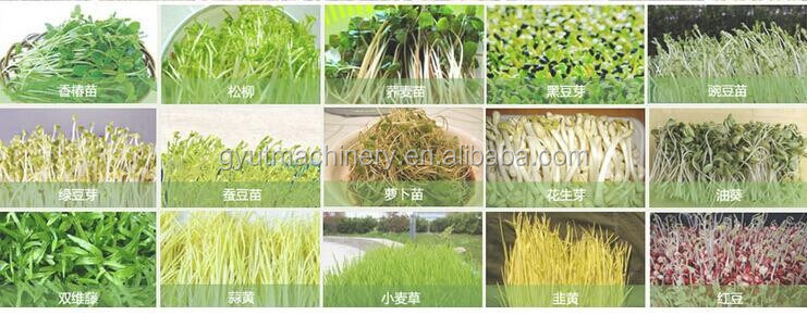 2024 Реклама С Машины для сбора урожая Аквапоника Продукты микрозеленых растений